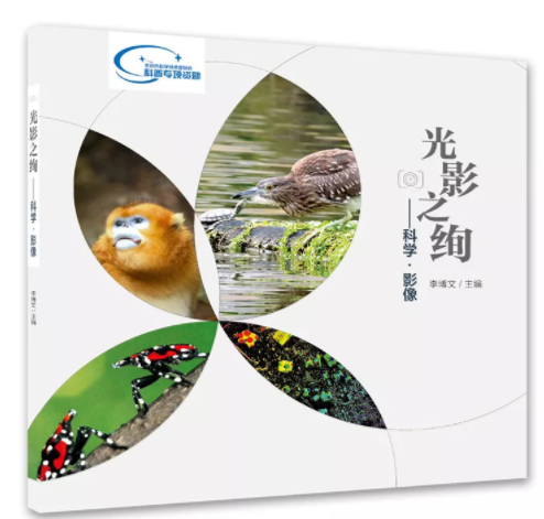 微信截图_20190305151046.png