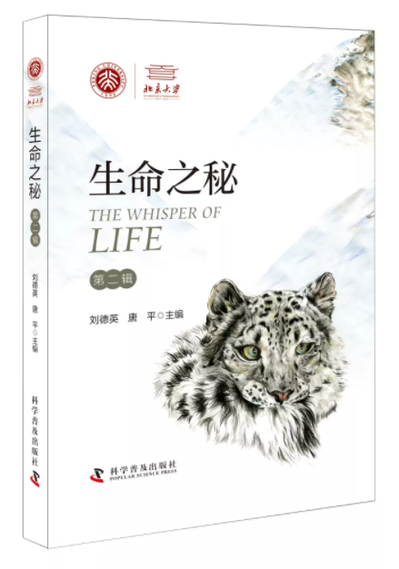 微信截图_20190716103558.png